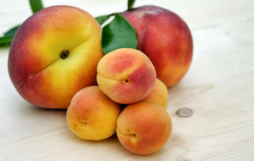 Fruit that typically available during summer
