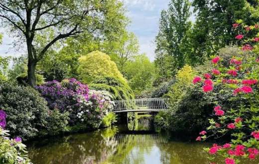 Historic botanical garden in Rotterdam Netherlands