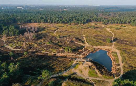Utrechtse Heuvelrug National park in the Netherlands