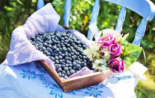 Wooden crate filled with fresh blueberries