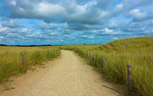 Sandy walking path landscape
